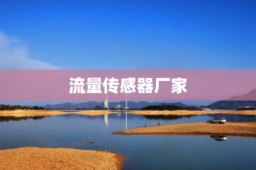 流量传感器厂家